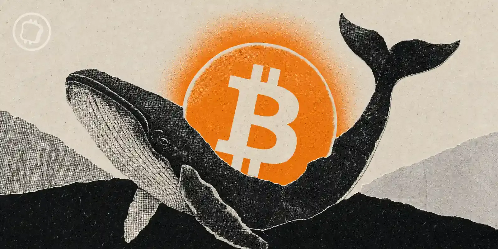 Bitcoin : les grandes adresses achètent pour 2,9 milliards en deux mois