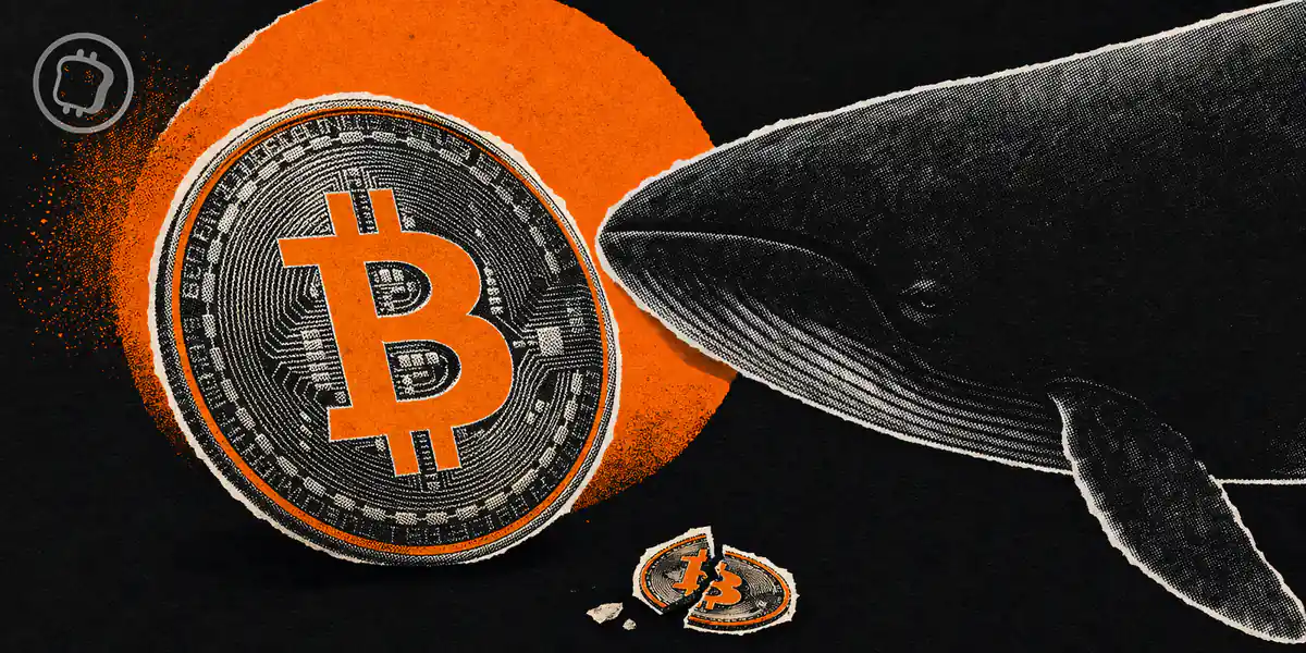 Bitcoin : quand les grandes fortunes tiennent bon et les petits cèdent, est-ce le signe d'un plancher ?
